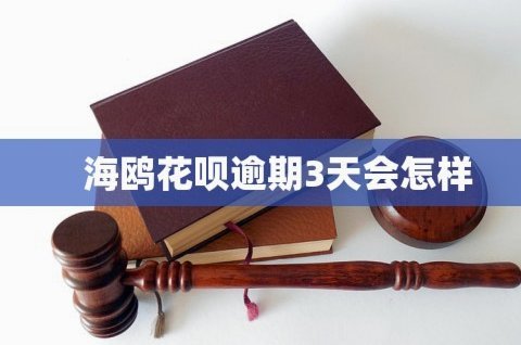 海鸥花呗平台 出来多久了