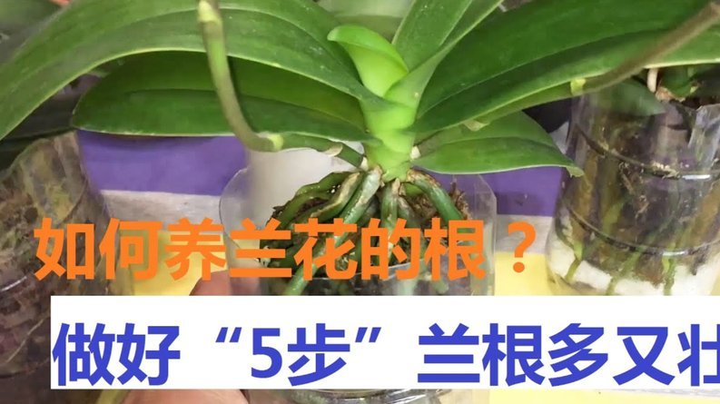 巧用“拿去花”轻松理财