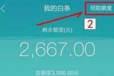如何合理利用白条额度
