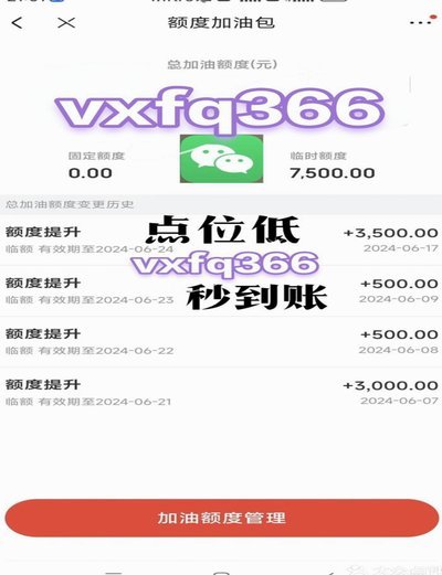 白条付费额度怎么套 套里面的钱