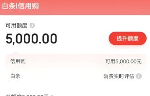 小额白条兑现商家