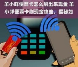 羊小咩退款攻略：避开这些坑