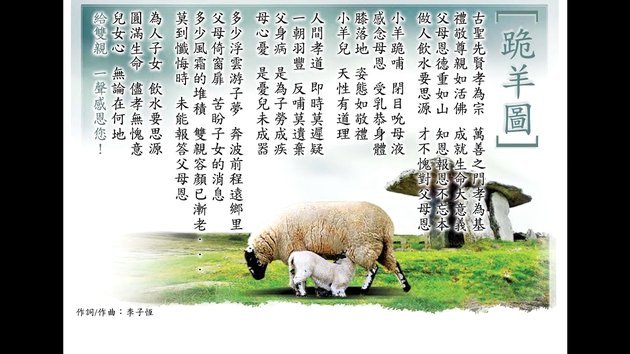 羊小咩修改基本信息全攻略