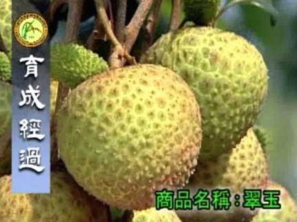 便荔卡怎么取出来