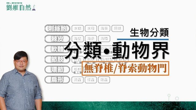 得物佳物分期攻略揭秘