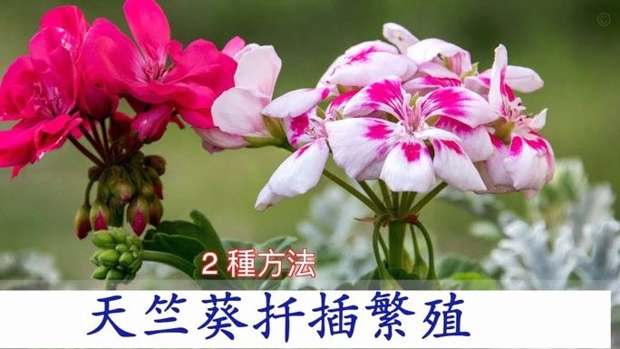 携程拿去花怎么注销实名