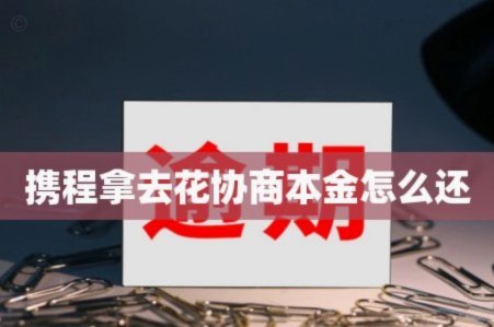 拿去花套现专业回收
