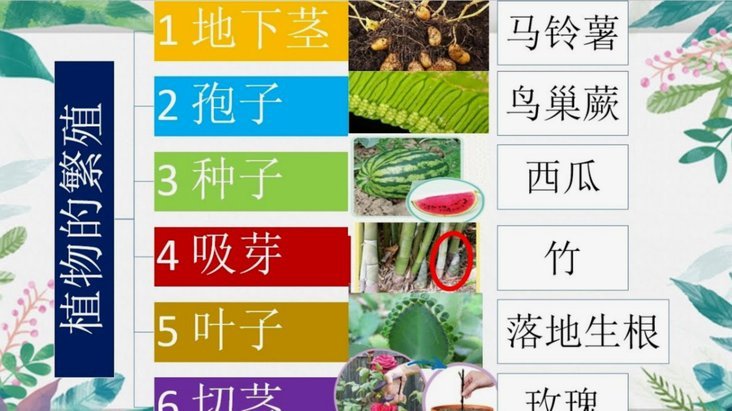 得物分期套现最简单方法