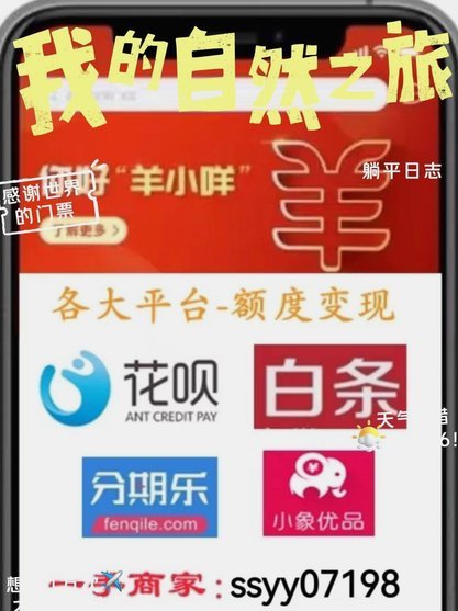羊小咩神盾回收哪个最合适