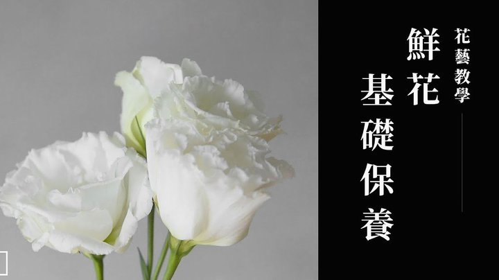 如何利用花呗分期功能，实现更加灵活的资金周转？