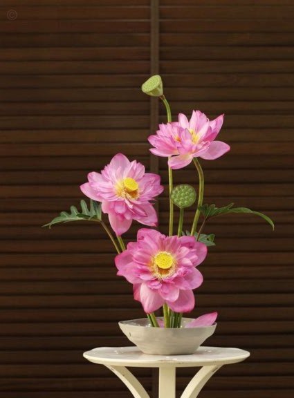 花呗提现出来