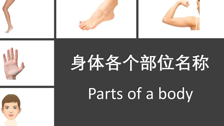 得物佳物分期额度提升技巧