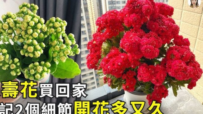 携程随便花怎么还钱