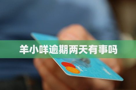 羊小咩的额度怎么刷出来