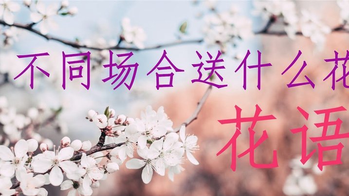 花呗使用平台 套现违法吗