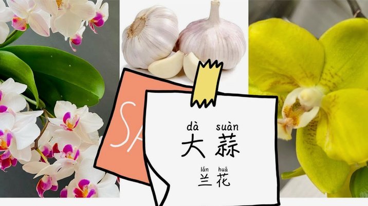 携程拿去花好用吗