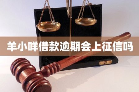 羊小咩哪里借钱