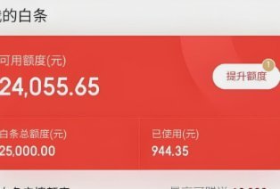广州零售变革：京东白条如何重塑实体店业态？