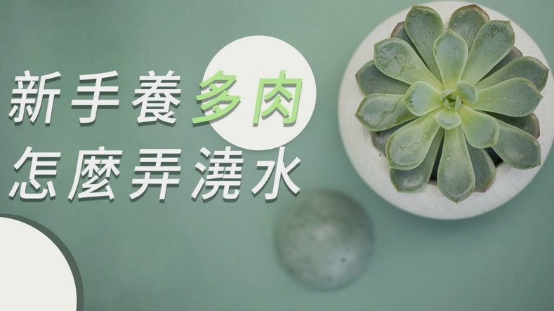 花呗套钱啥意思 怎么回事