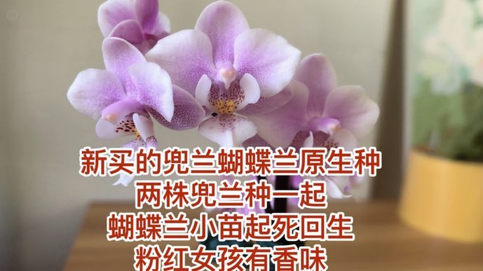 谁知道花呗怎么提现