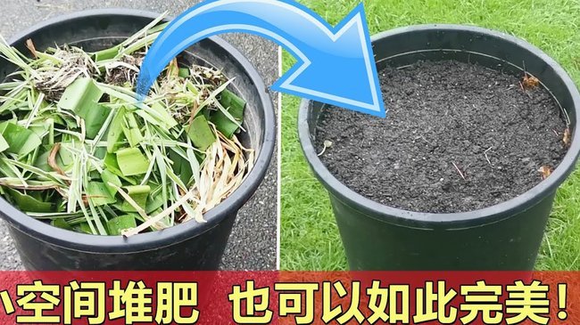 如何高效使用拿去花享受生活优惠