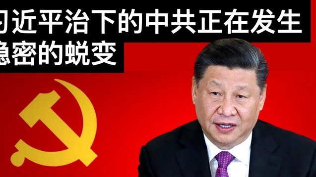 京东白条提现方式 平台是什么