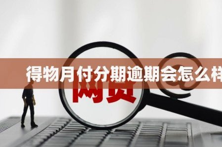 得物月付怎么看