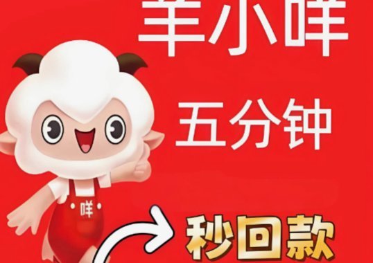 羊小咩综合服务费退费指南
