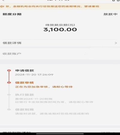 羊小咩提现后放款屡屡失败，用户如何应对？