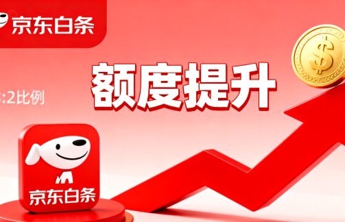白条额度怎么变现