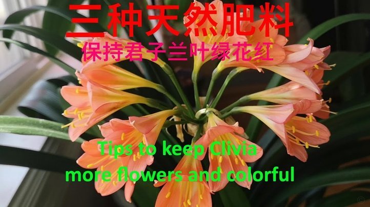 拿去花怎么用不了