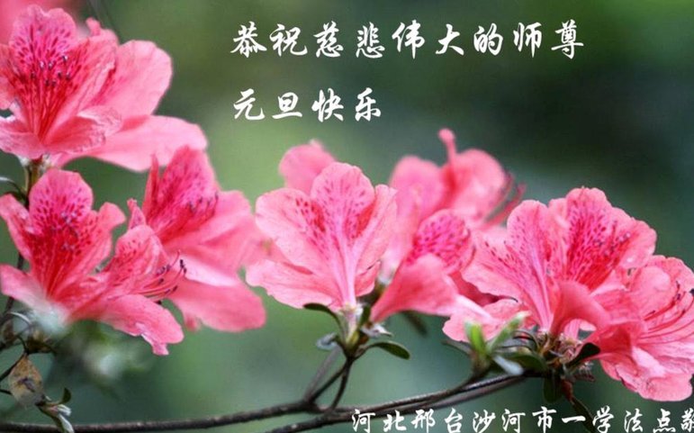 花呗套现违法吗