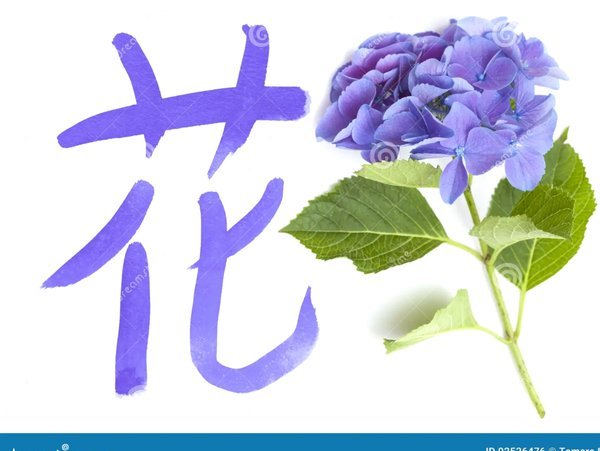 套现花呗违法吗