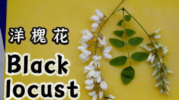 套现花呗违法吗