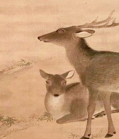 鹿 有 角 吗