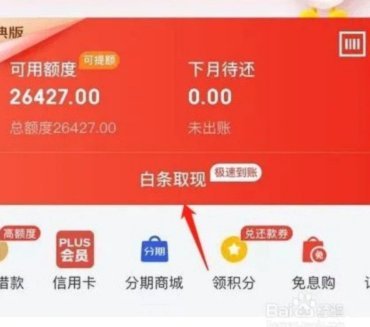 白条怎么提前全部还款