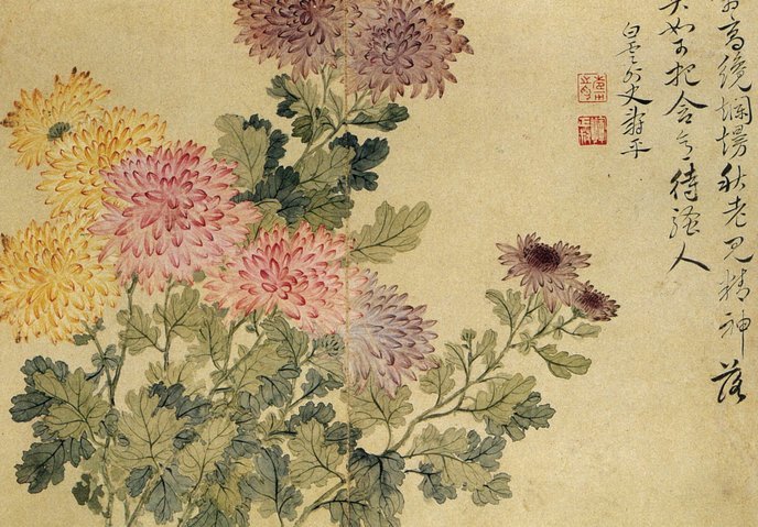 花呗转现：陷阱与风险警示